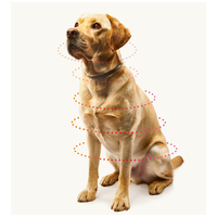 Beaphar CaniShield repellens nyakörv kutyáknak #5