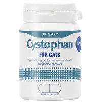 Protexin Cystophan kapszula húgyúti problémákra macskáknak
