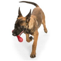 West Paw Hurley - Tartós rágóbot #8