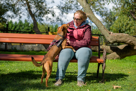 Csoma, 5 éves, 40 cm magas, ivartalanított kan