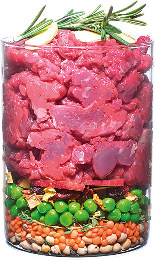 Carnilove True Fresh Dog Adult Beef with Peas and Pumpkin - zoom
