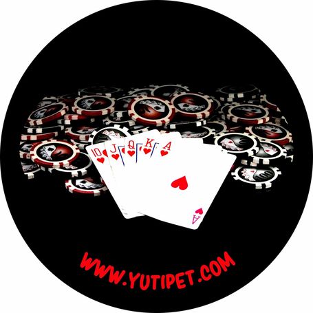 Grafikus címkék M-XXL méretű Yutipet hámokhoz