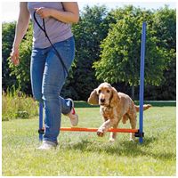 Trixie Dog Activity agility akadály #2