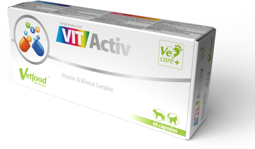 VetFood VITActive - Complex multivitamine pentru câini și pisici