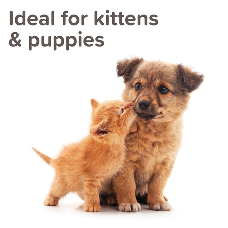 Beaphar beltéri nevelő, távoltartó spray