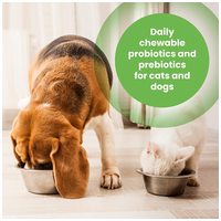 Protexin Pro-Balance probiotikus és prebiotikus rágótabletta kutyáknak és macskáknak #2