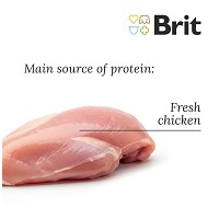Brit Fresh Chicken with Potato Puppy & Junior Healthy Growth #5