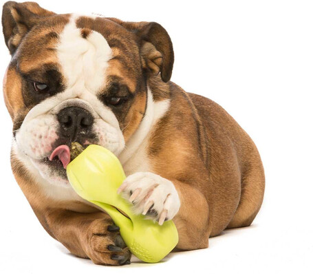 West Paw Qwizl - Jutalomfalattal tölthető rágóka