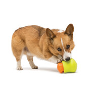 West Paw Toppl - Jutalomfalattal tölthető kutyajáték #20