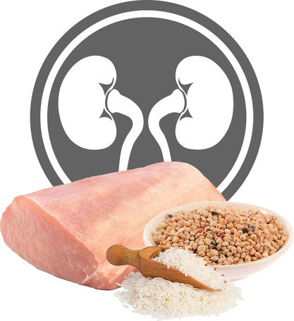 Exclusion Dog Renal Pork & Sorghum and Rice Medium/Large