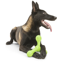 West Paw Skamp - Apport kutyajáték #7