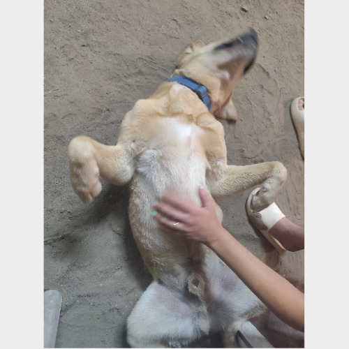 Medox, Marley #2