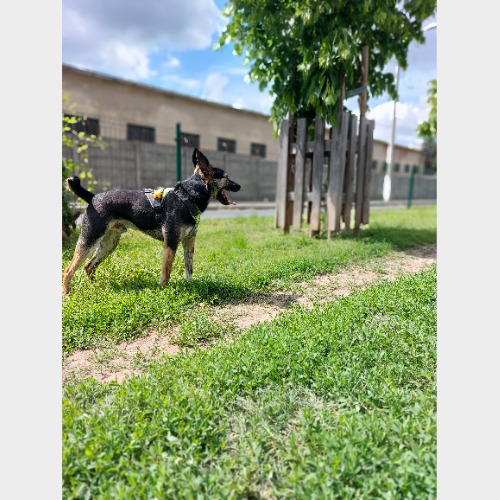 Radar #2