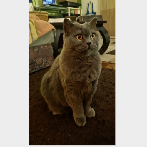 Charlie