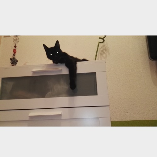 Titó