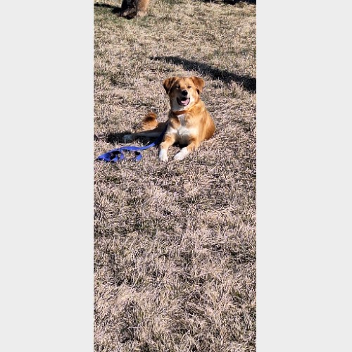 Cody, Rusty #3