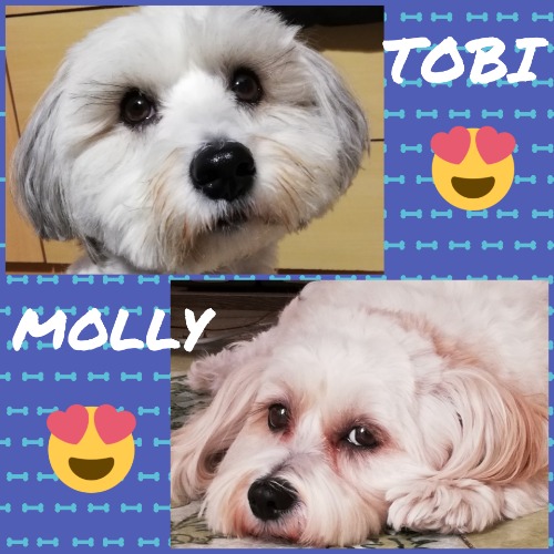 Tobi&Molly