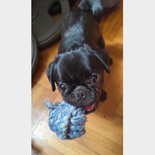 Diego