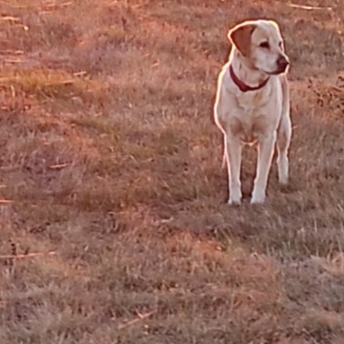 Ruby #2