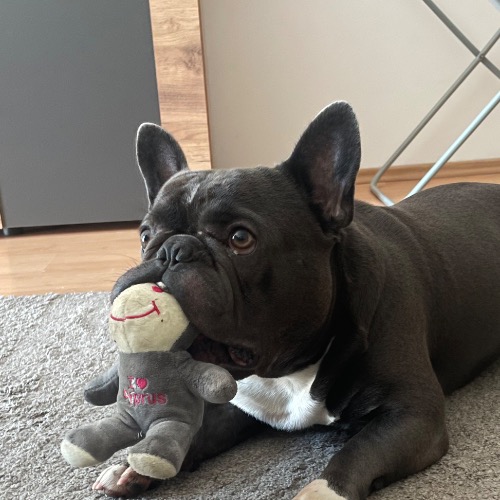 Max