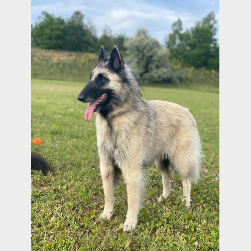 Zoe