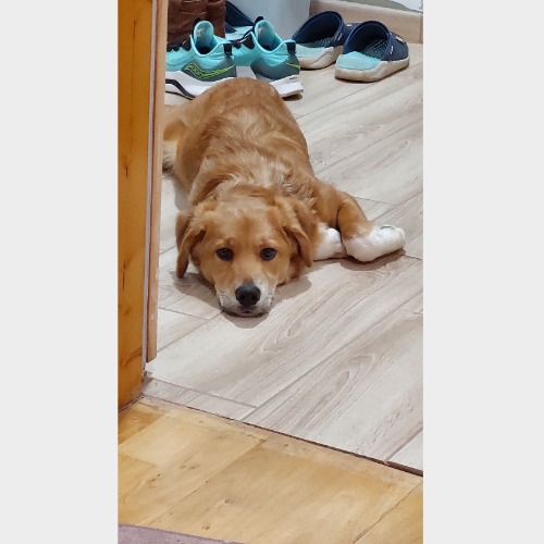 Cody, Rusty #6