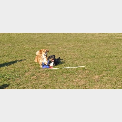 Cody, Rusty #4